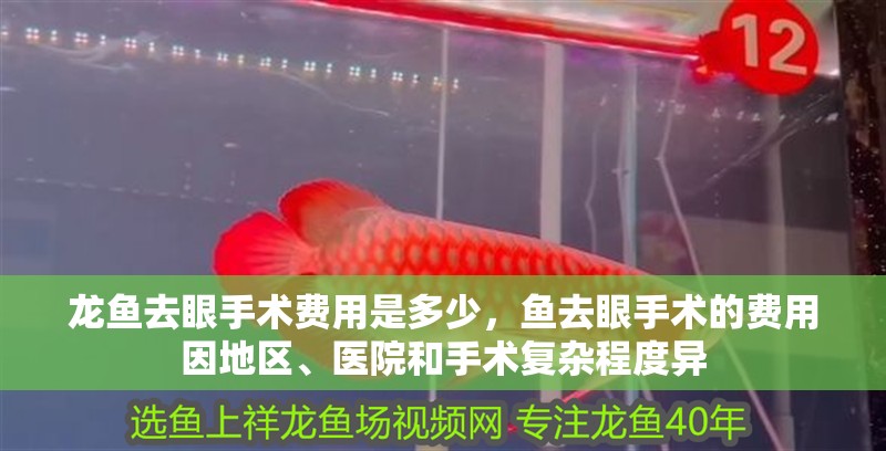 龍魚去眼手術(shù)費用是多少，魚去眼手術(shù)的費用因地區(qū)、醫(yī)院和手術(shù)復(fù)雜程度異