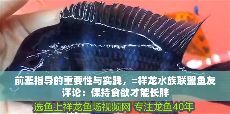 前輩指導的重要性與實踐，=祥龍水族聯盟魚友評論：保持食欲才能長胖
