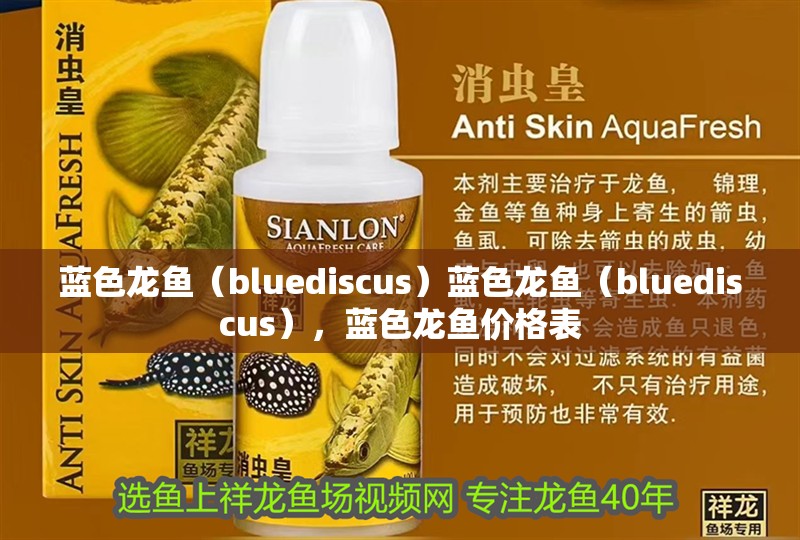 藍色龍魚（bluediscus）藍色龍魚（bluediscus），藍色龍魚價格表