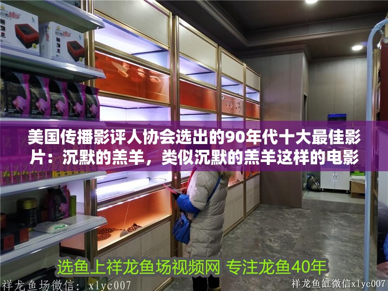 美國傳播影評人協會選出的90年代十大最佳影片：沉默的羔羊，類似沉默的羔羊這樣的電影對應的電影對應的相關信息