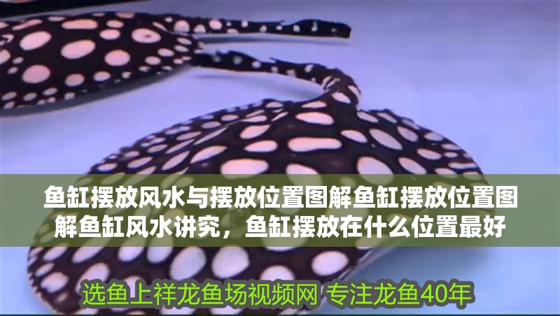 魚缸擺放風水與擺放位置圖解魚缸擺放位置圖解魚缸風水講究，魚缸擺放在什么位置最好