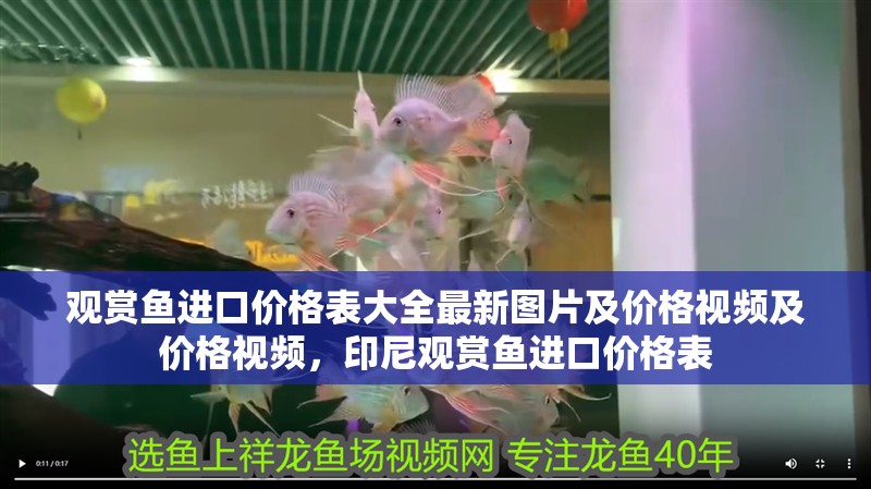 觀賞魚進口價格表大全最新圖片及價格視頻及價格視頻，印尼觀賞魚進口價格表