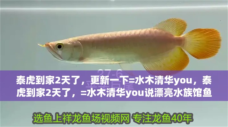 泰虎到家2天了，更新一下=水木清華you，泰虎到家2天了，=水木清華you說漂亮水族館魚友贏在江湖