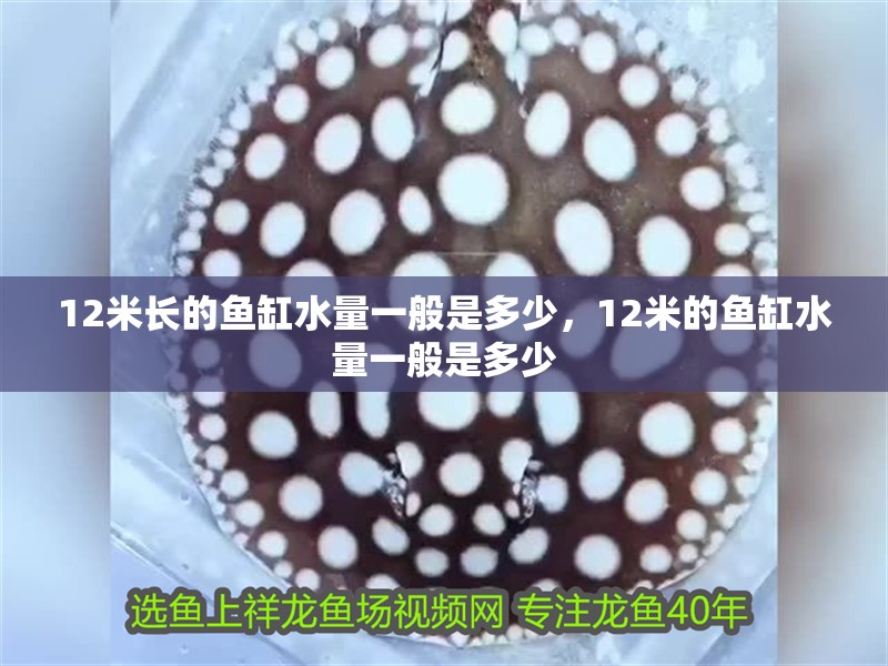 12米長的魚缸水量一般是多少，12米的魚缸水量一般是多少