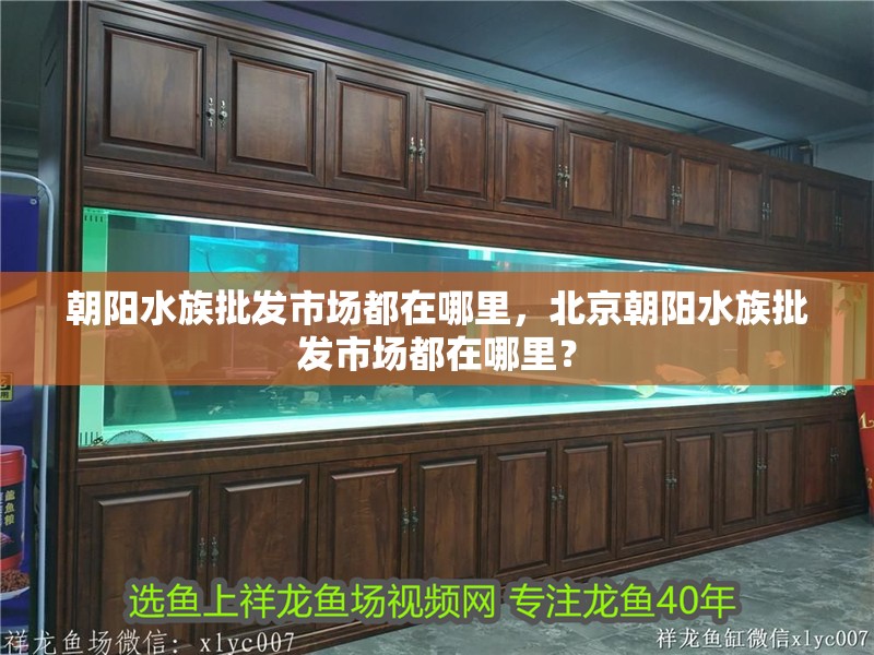 朝陽水族批發市場都在哪里，北京朝陽水族批發市場都在哪里？