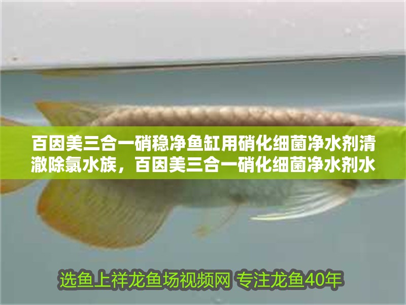 百因美三合一硝穩(wěn)凈魚(yú)缸用硝化細(xì)菌凈水劑清澈除氯水族，百因美三合一硝化細(xì)菌凈水劑水質(zhì)穩(wěn)定劑清澈除氯水族