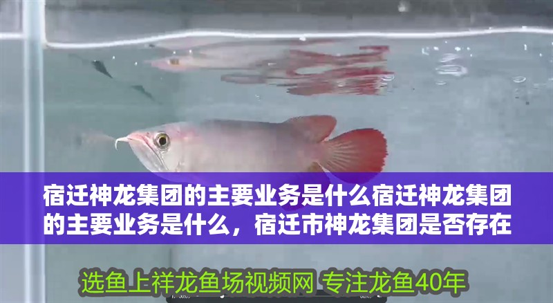 宿遷神龍集團的主要業(yè)務是什么宿遷神龍集團的主要業(yè)務是什么，宿遷市神龍集團是否存在？