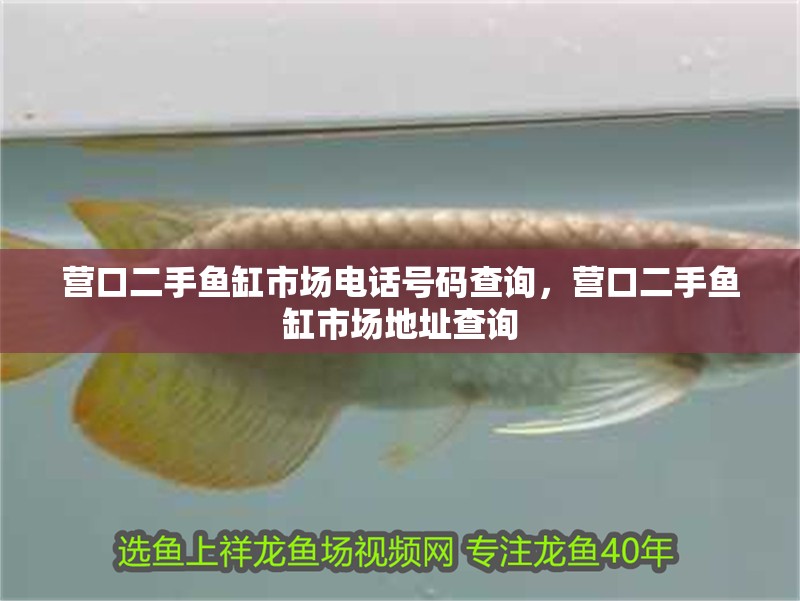 營口二手魚缸市場電話號碼查詢，營口二手魚缸市場地址查詢