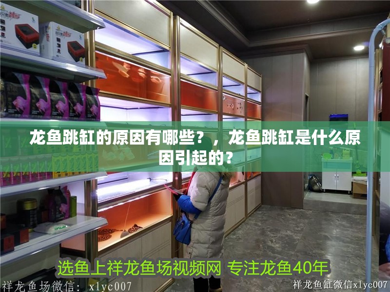 龍魚(yú)跳缸的原因有哪些？，龍魚(yú)跳缸是什么原因引起的？