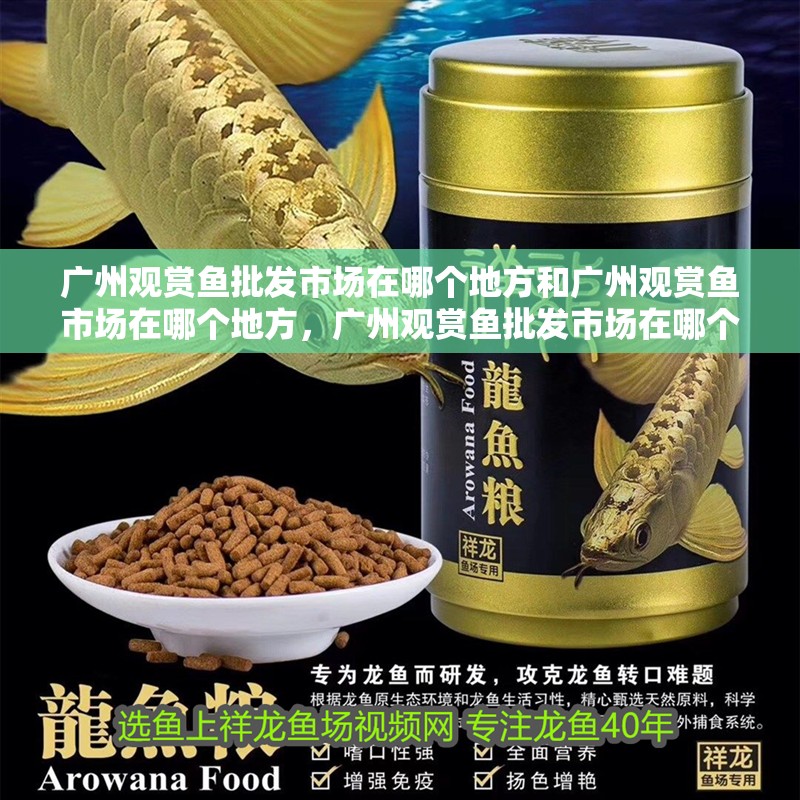 廣州觀賞魚批發市場在哪個地方和廣州觀賞魚市場在哪個地方，廣州觀賞魚批發市場在哪個地方