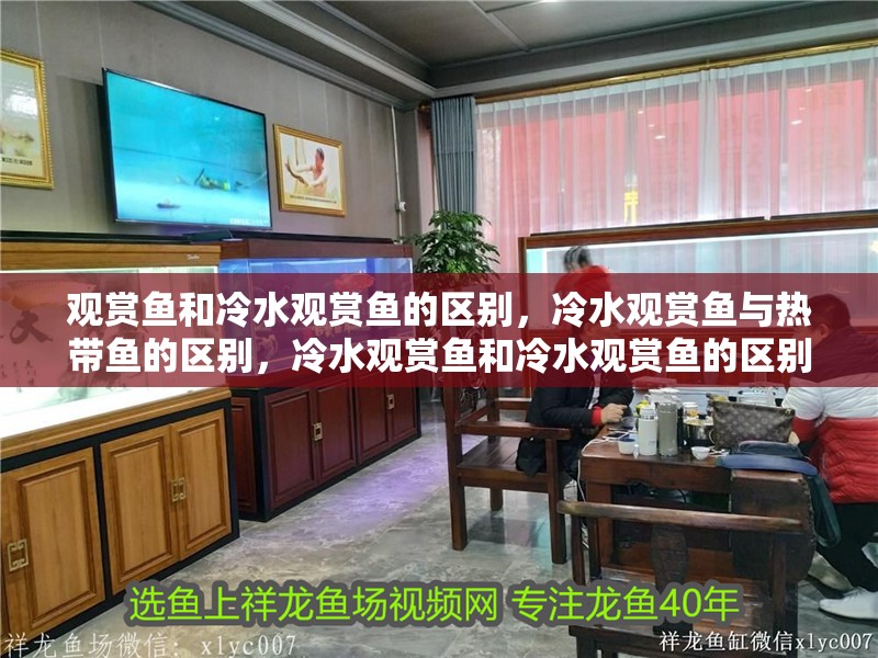 觀賞魚(yú)和冷水觀賞魚(yú)的區(qū)別，冷水觀賞魚(yú)與熱帶魚(yú)的區(qū)別，冷水觀賞魚(yú)和冷水觀賞魚(yú)的區(qū)別，冷水觀賞魚(yú)與熱帶魚(yú)的區(qū)別