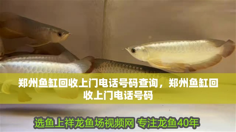鄭州魚缸回收上門電話號(hào)碼查詢，鄭州魚缸回收上門電話號(hào)碼