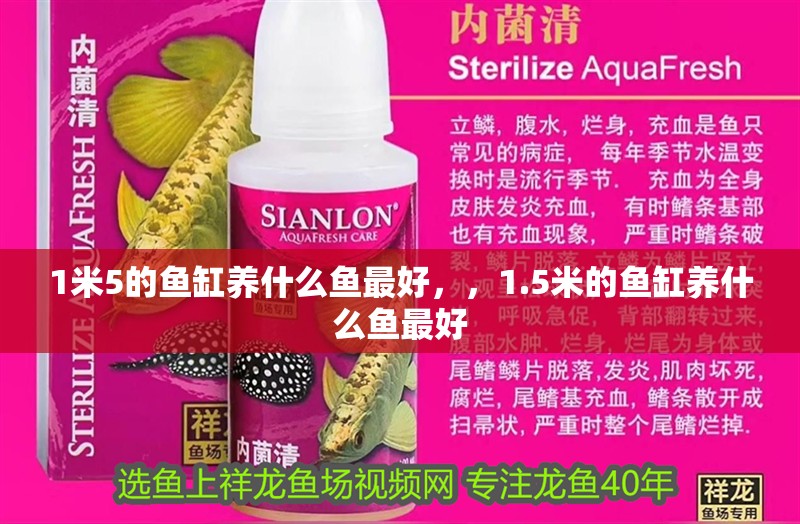 1米5的魚缸養什么魚最好，，1.5米的魚缸養什么魚最好