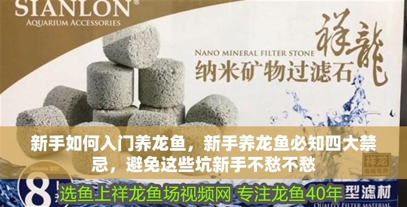 新手如何入門養龍魚，新手養龍魚必知四大禁忌，避免這些坑新手不愁不愁