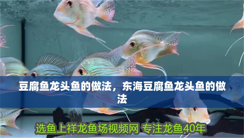豆腐魚龍頭魚的做法，東海豆腐魚龍頭魚的做法