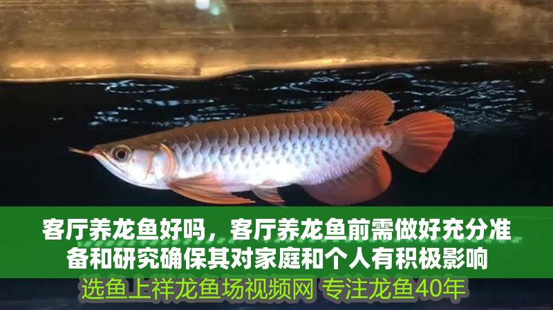 客廳養(yǎng)龍魚好嗎，客廳養(yǎng)龍魚前需做好充分準(zhǔn)備和研究確保其對家庭和個人有積極影響