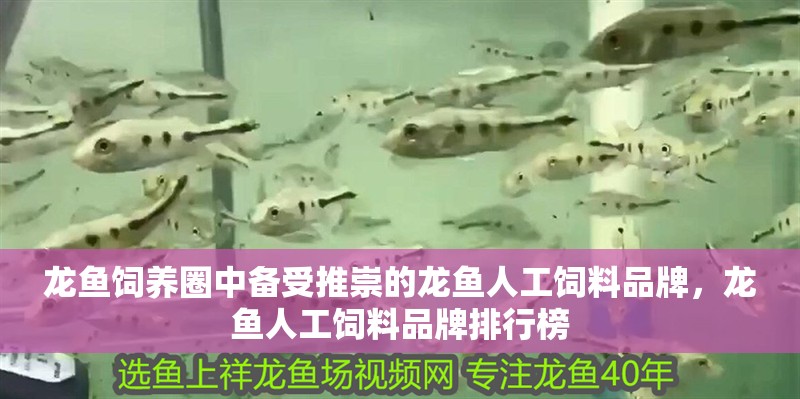 龍魚飼養圈中備受推崇的龍魚人工飼料品牌，龍魚人工飼料品牌排行榜