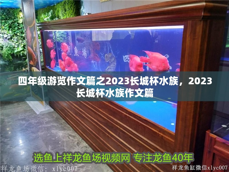 四年級游覽作文篇之2023長城杯水族，2023長城杯水族作文篇