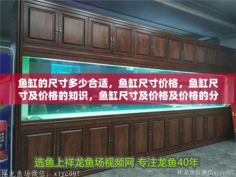 魚缸的尺寸多少合適，魚缸尺寸價格，魚缸尺寸及價格的知識，魚缸尺寸及價格及價格的分析