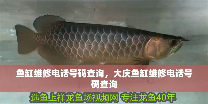 魚缸維修電話號碼查詢，大慶魚缸維修電話號碼查詢