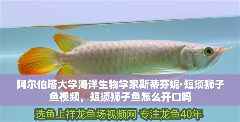 阿爾伯塔大學海洋生物學家斯蒂芬妮·短須獅子魚視頻，短須獅子魚怎么開口嗎