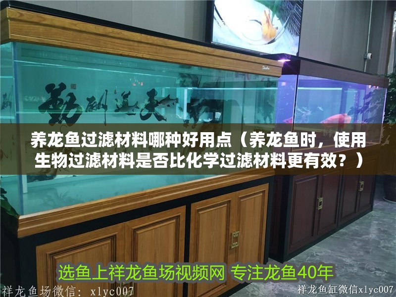 養龍魚過濾材料哪種好用點（養龍魚時，使用生物過濾材料是否比化學過濾材料更有效？）