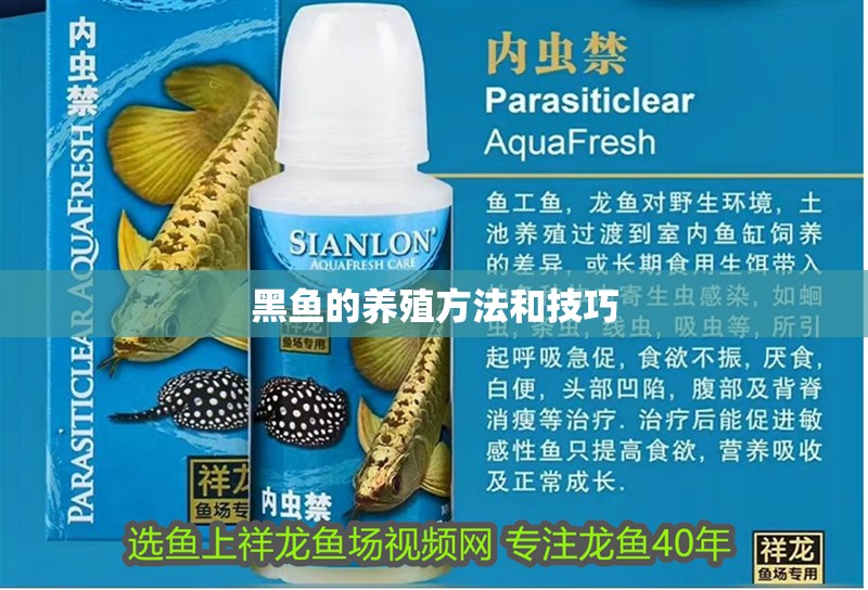 黑魚的養(yǎng)殖方法和技巧