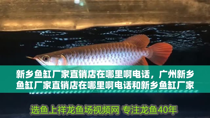 新鄉魚缸廠家直銷店在哪里啊電話，廣州新鄉魚缸廠家直銷店在哪里啊電話和新鄉魚缸廠家直銷店在哪里