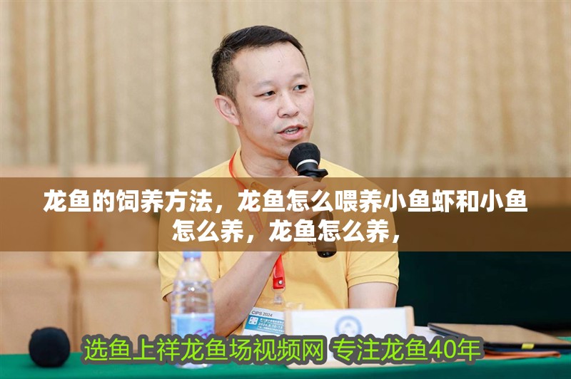 龍魚的飼養方法，龍魚怎么喂養小魚蝦和小魚怎么養，龍魚怎么養，