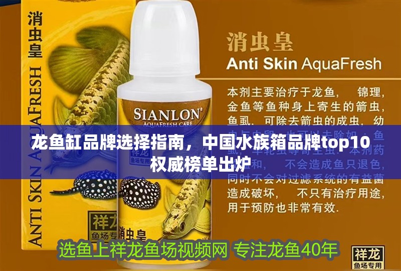 龍魚缸品牌選擇指南，中國水族箱品牌top10權威榜單出爐