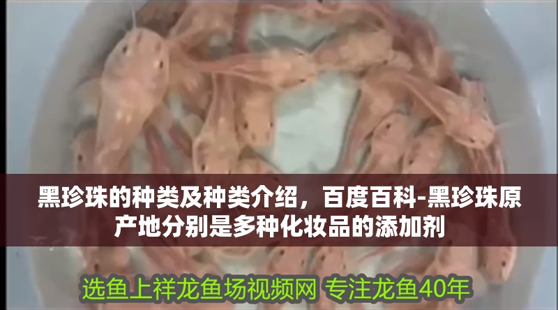 黑珍珠的種類(lèi)及種類(lèi)介紹，百度百科-黑珍珠原產(chǎn)地分別是多種化妝品的添加劑