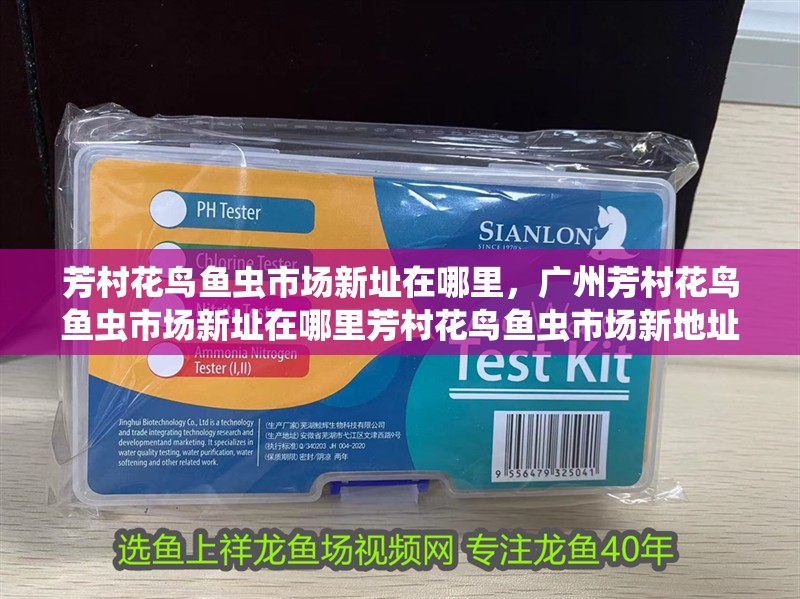 芳村花鳥(niǎo)魚(yú)蟲(chóng)市場(chǎng)新址在哪里，廣州芳村花鳥(niǎo)魚(yú)蟲(chóng)市場(chǎng)新址在哪里芳村花鳥(niǎo)魚(yú)蟲(chóng)市場(chǎng)新地址在哪里