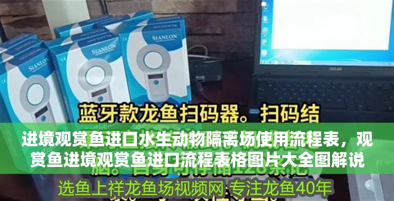 進境觀賞魚進口水生動物隔離場使用流程表，觀賞魚進境觀賞魚進口流程表格圖片大全圖解說明書視頻