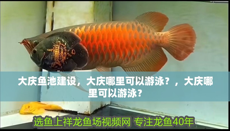 大慶魚池建設，大慶哪里可以游泳？，大慶哪里可以游泳？