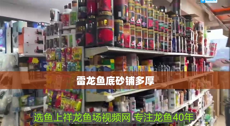 雷龍魚底砂鋪多厚