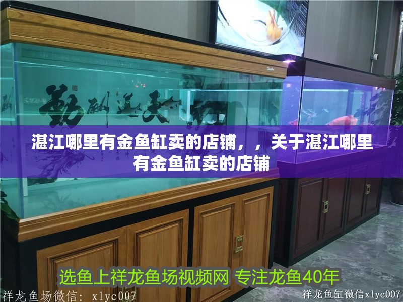 湛江哪里有金魚缸賣的店鋪，，關于湛江哪里有金魚缸賣的店鋪