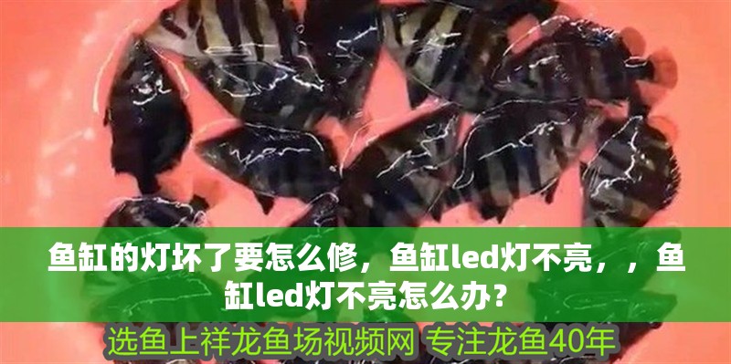 魚缸的燈壞了要怎么修，魚缸led燈不亮，，魚缸led燈不亮怎么辦？