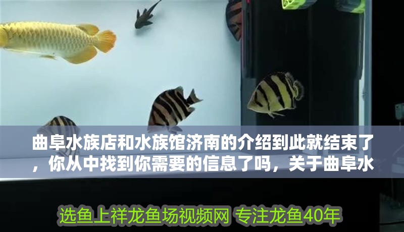曲阜水族店和水族館濟(jì)南的介紹到此就結(jié)束了，你從中找到你需要的信息了嗎，關(guān)于曲阜水族店和水族館濟(jì)南的介紹