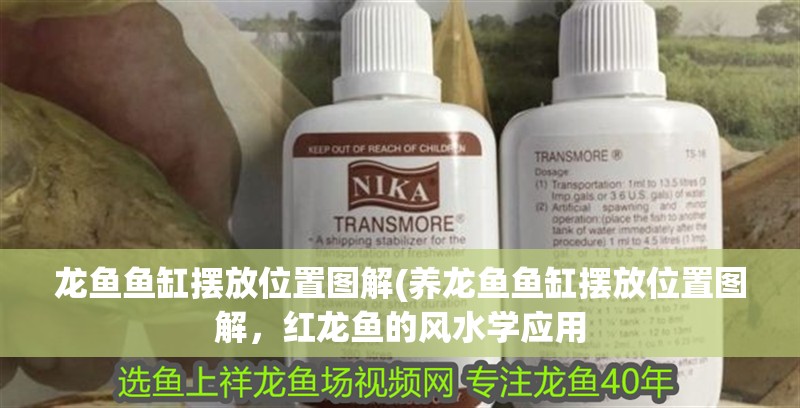 龍魚魚缸擺放位置圖解(養(yǎng)龍魚魚缸擺放位置圖解，紅龍魚的風(fēng)水學(xué)應(yīng)用