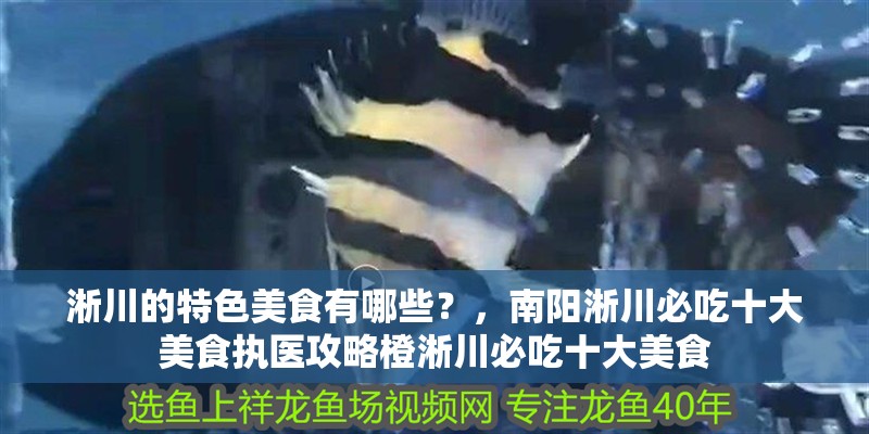 淅川的特色美食有哪些？，南陽(yáng)淅川必吃十大美食執(zhí)醫(yī)攻略橙淅川必吃十大美食