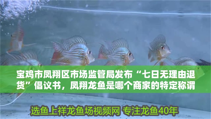 寶雞市鳳翔區市場監管局發布“七日無理由退貨”倡議書，鳳翔龍魚是哪個商家的特定稱謂？