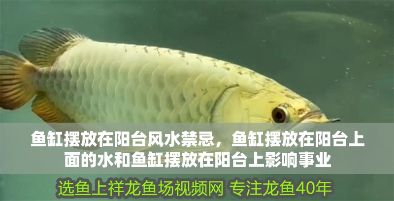 魚缸擺放在陽臺風水禁忌，魚缸擺放在陽臺上面的水和魚缸擺放在陽臺上影響事業