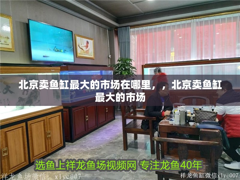北京賣魚缸最大的市場在哪里，，北京賣魚缸最大的市場