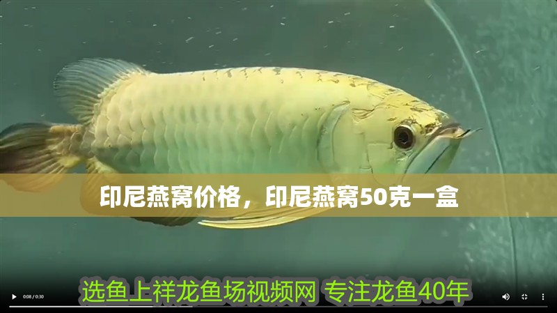 印尼燕窩價(jià)格，印尼燕窩50克一盒