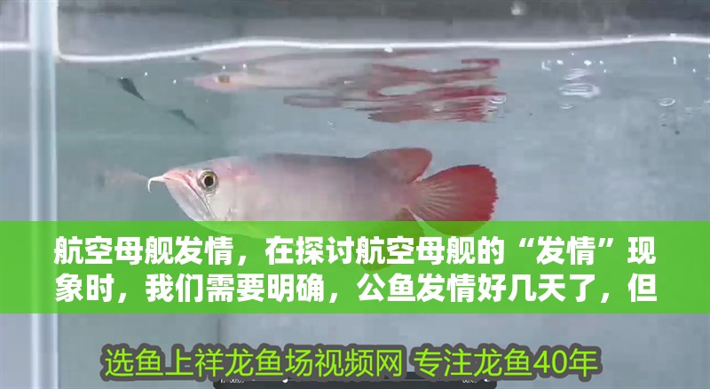 航空母艦發情，在探討航空母艦的“發情”現象時，我們需要明確，公魚發情好幾天了，但是母魚不配合，呆一會就游走？