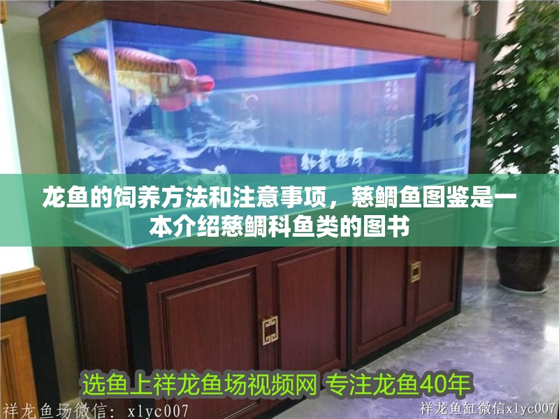 龍魚的飼養方法和注意事項，慈鯛魚圖鑒是一本介紹慈鯛科魚類的圖書