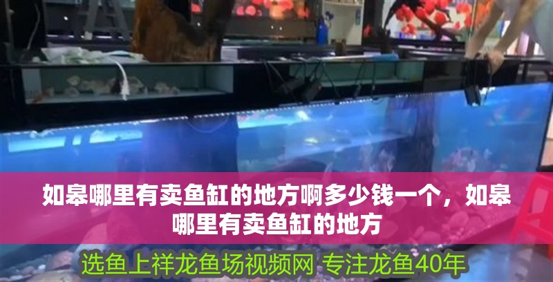 如皋哪里有賣魚缸的地方啊多少錢一個，如皋哪里有賣魚缸的地方