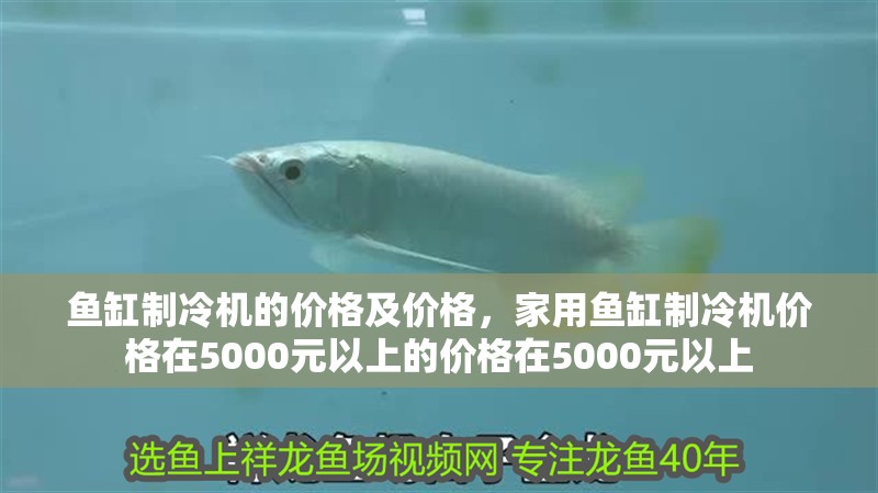 魚缸制冷機的價格及價格，家用魚缸制冷機價格在5000元以上的價格在5000元以上