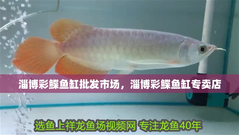 淄博彩鰈魚缸批發市場，淄博彩鰈魚缸專賣店