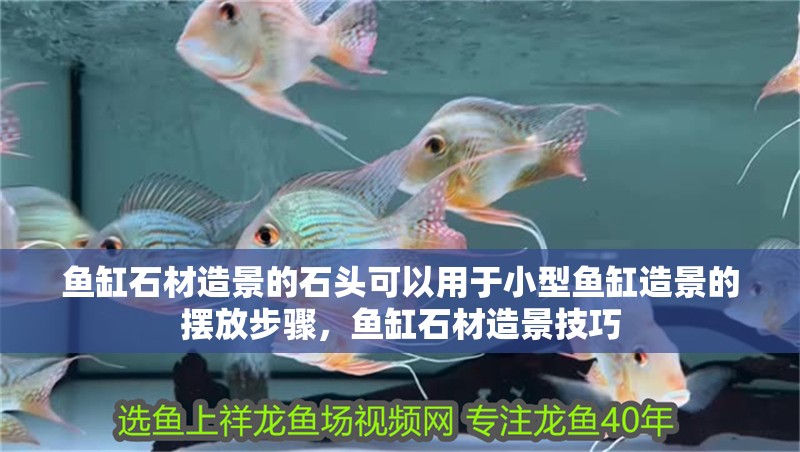 魚缸石材造景的石頭可以用于小型魚缸造景的擺放步驟，魚缸石材造景技巧